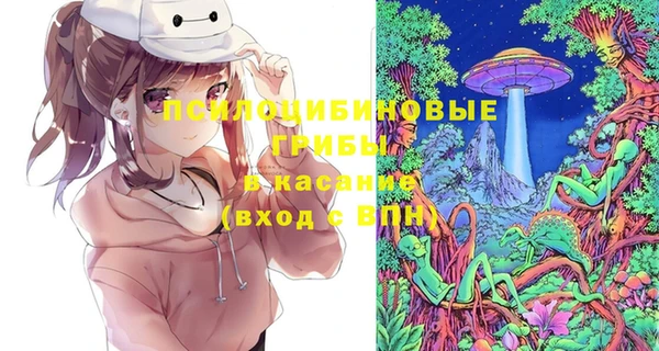 СК Болхов