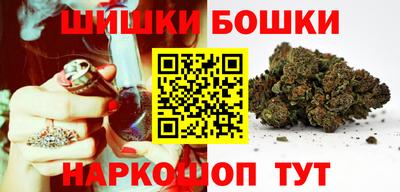 МДПВ Гатчина