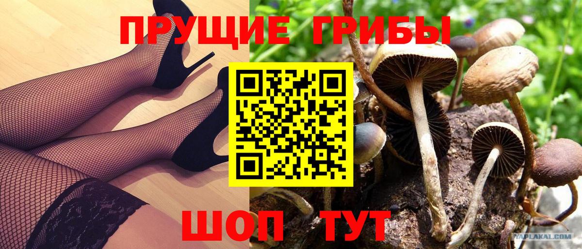 Псилоцибиновые грибы GOLDEN TEACHER Тобольск