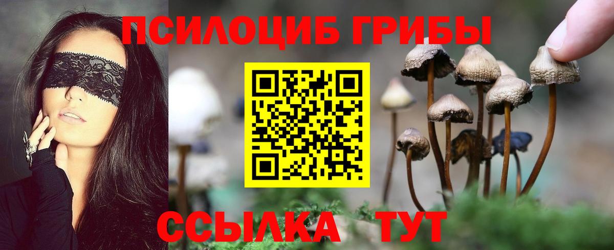 Тобольск  Псилоцибиновые грибы Cubensis  купить  сайты  Галлюциногенные грибы мухоморы  Вход с VPN 